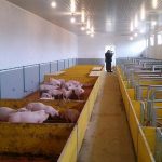 12650162_945956145490471_437316943_n-150x150 FTV u posjeti poljoprivrednicima - investitorima u općini Žepče