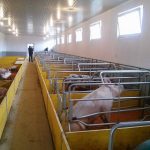 12659708_945957375490348_1600871801_n-150x150 FTV u posjeti poljoprivrednicima - investitorima u općini Žepče