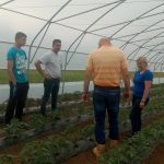 CRS-plastenici-1-150x150 Završena isporuka i montaža plastenika te sadnja rajčice i paprike u sklopu projekta sa CRS-om