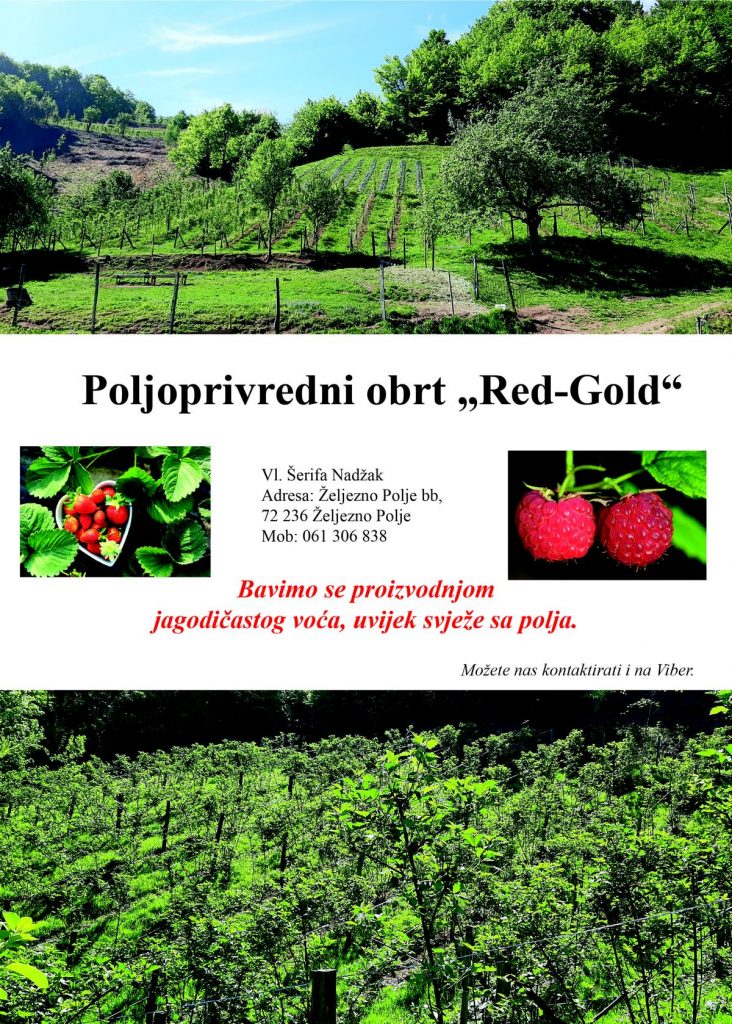 Red-Gold-732x1024 Projekt PPMG – promocija najuspješnijih