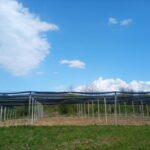 27.04.2022-1-150x150 Održana I. stakeholder radionica za poljoprivredni sektor u sklopu projekta centrikomNET