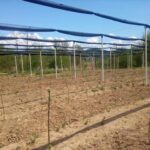 27.04.2022-7-150x150 Održana I. stakeholder radionica za poljoprivredni sektor u sklopu projekta centrikomNET