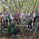 Rezidba_ljesnjaka-1-150x150 Održana obuka „Jesenska rezidba lješnjaka“