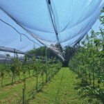 GH_2025-6-150x150 RAŽ uključen u projekt “Green&Health”