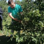 BL_institut_posjeta_2026-4-150x150 Polaznici „Škole kalemljenja“ iz Žepča posjetili institut za genetičke resurse u Banjoj Luci